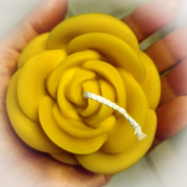 Honeycomb Beeswax Candles